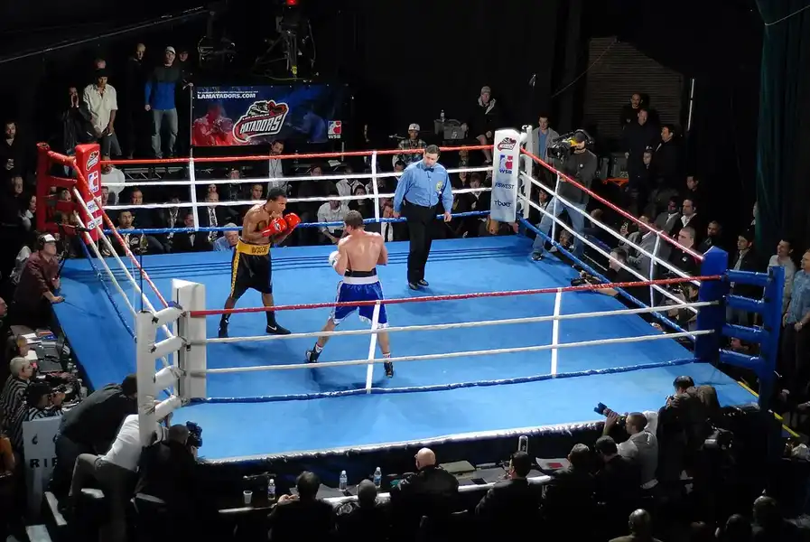 Pelea de boxeo profesional en el ring