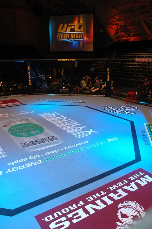Pelea de UFC en el octágono